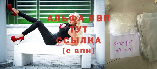 мет Алексин