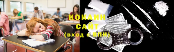 мет Алексин