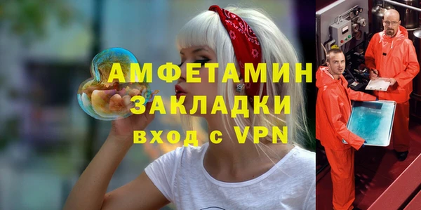 мет Алексин