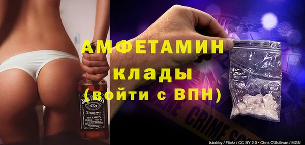 мет Алексин