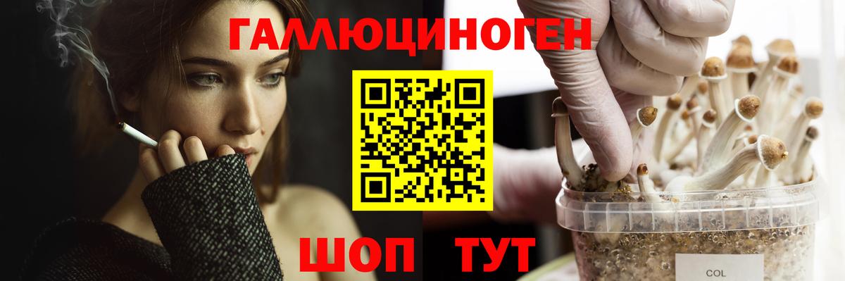 Галлюциногенные грибы Psilocybe  Вход с VPN  как найти закладки  Алексин  Псилоцибиновые грибы мухоморы 